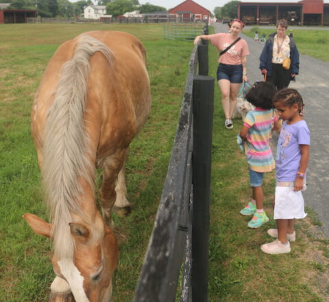 Gabriel Homes resident with her sister at Frying Pan Park in Herndon.