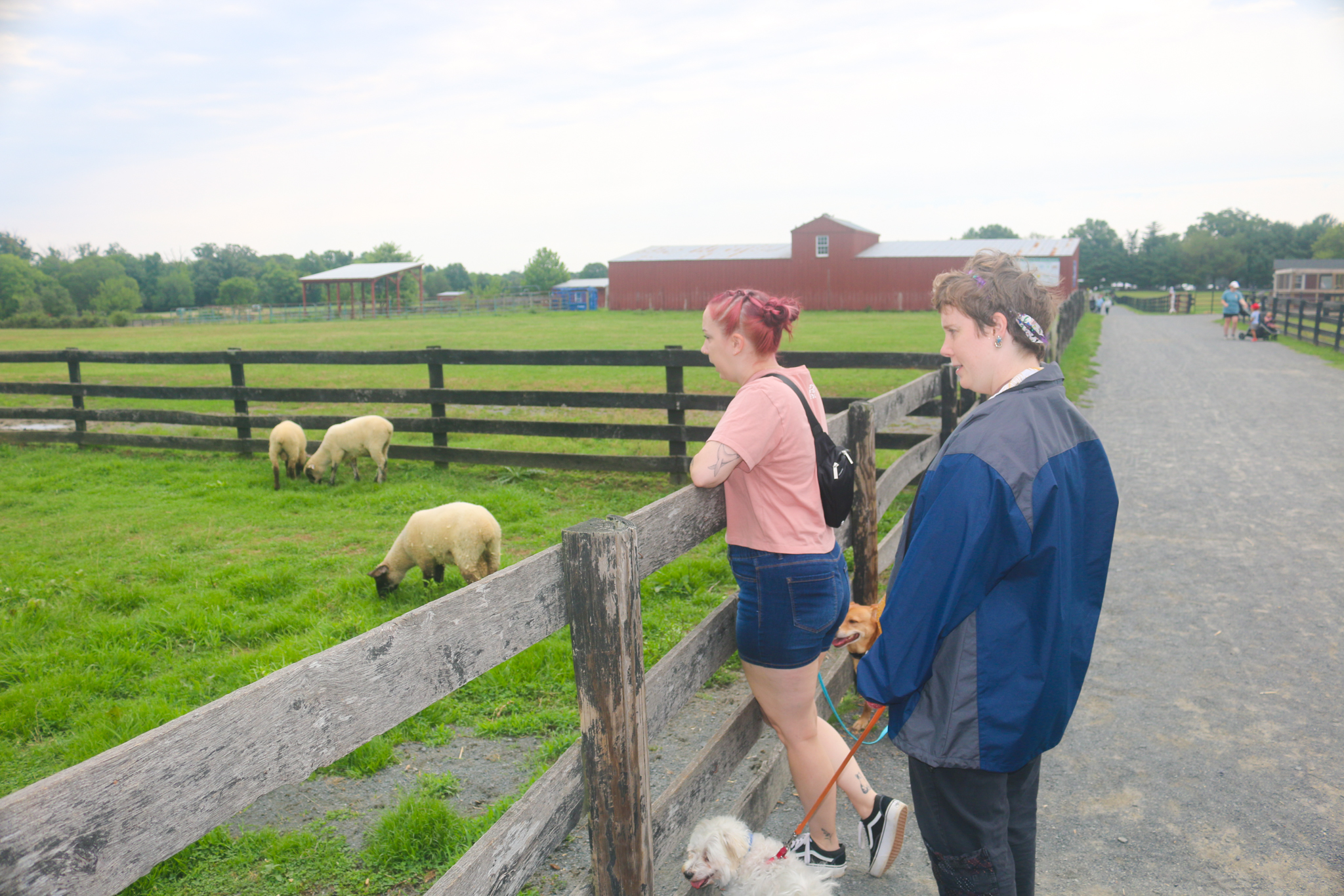 Photo for Sisters Share Their Passion for Animals