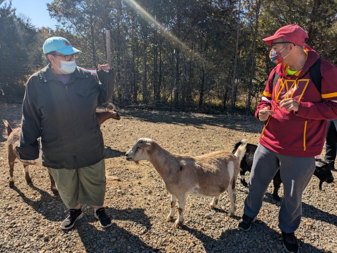 Gabriel Homes residents meeting goats at Cox Farms.