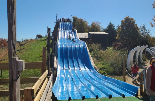 Gabriel Homes residents at Cox Farms going down the Dino Slide.