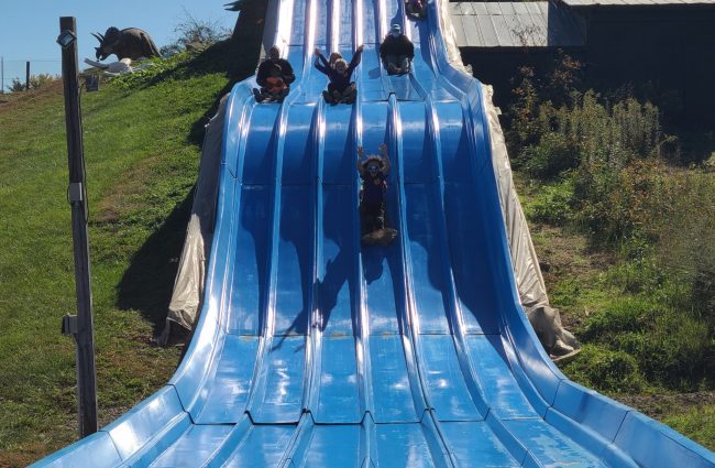 Gabriel Homes residents at Cox Farms going down the Dino Slide.